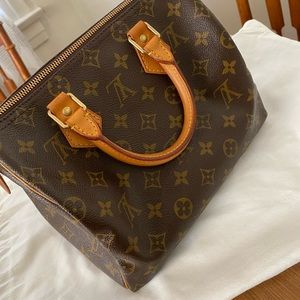 Louis Vuitton Speedy 25 Handbag